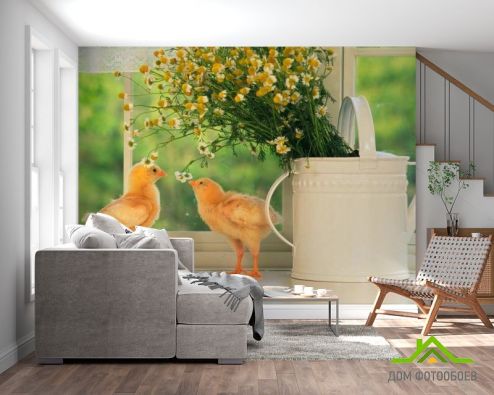 выбрать Фотообои Два цыпленка Фотообои Фотообои Животные: фото, зелений, зеленый  на стену