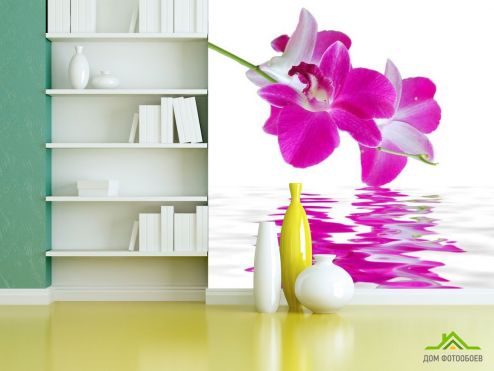выбрать Фотошпалери Орхідеї кольору фусии Фотошпалери Квіти на стіну