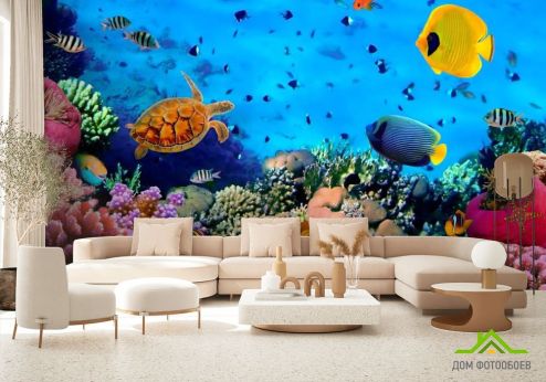 выбрать Фотошпалери Черепахи і риф Фотошпалери Фотошпалери Море: фото, різнобарвний  на стіну
