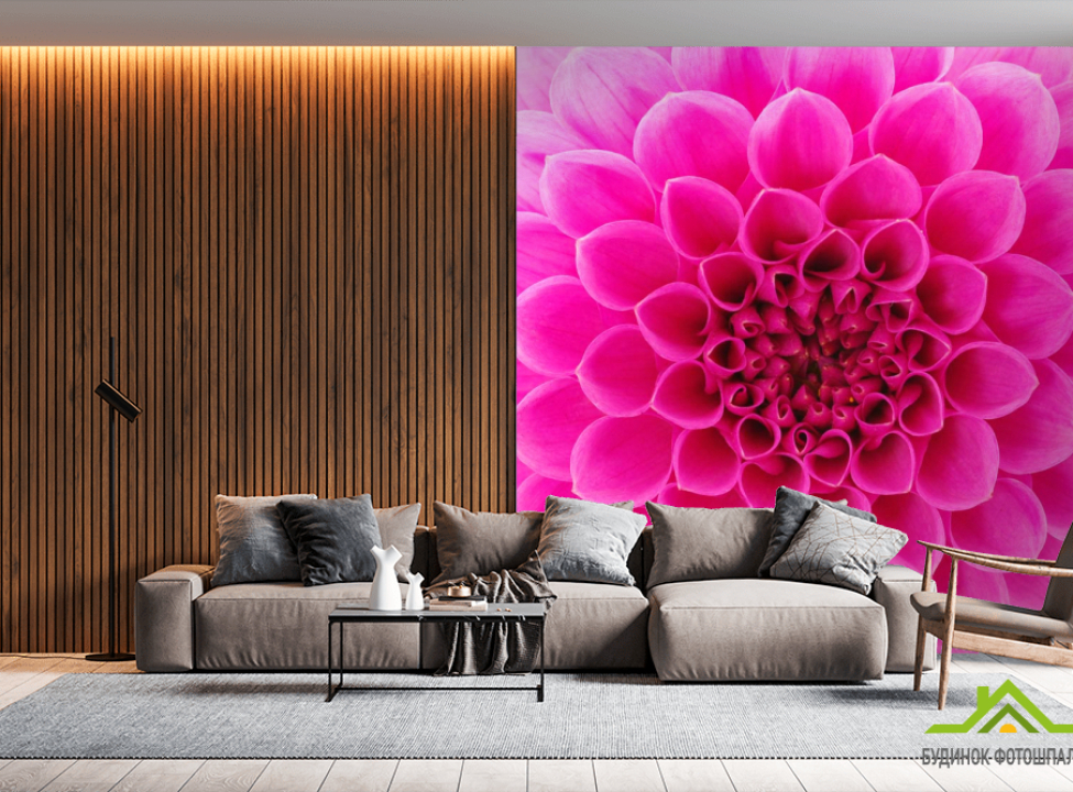 выбрать Фотошпалери Стільниковий квітка малиновий Каталог фотошпалер на стіну