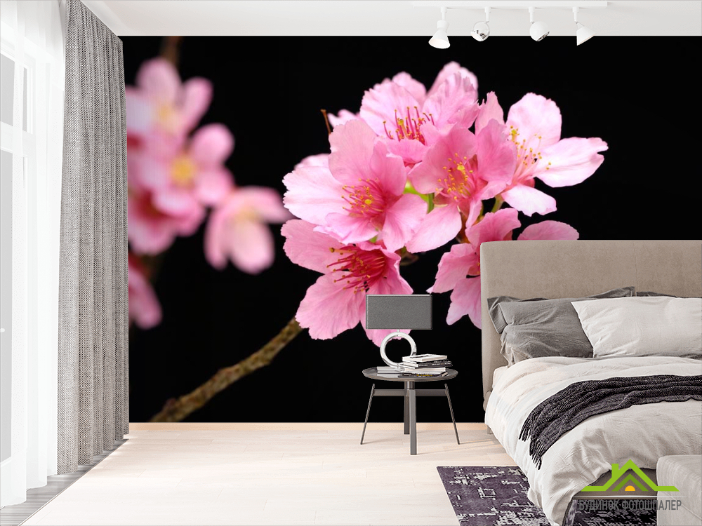 Фотообои Розовые персиковые цветы