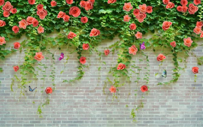Фотошпалери Троянди на цегляній стіні