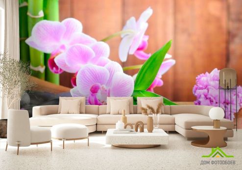 выбрать Фотошпалери Блідо-рожеві орхідеї Фотошпалери Квіти на стіну