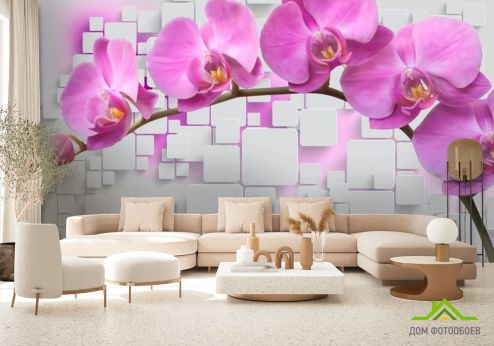 выбрать Фотообои Орхидеи Фотообои, цвет: «рисунок» на стену