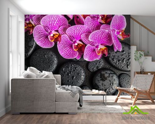 выбрать Фотообои сиреневые орхидеи на черных камнях с каплями Фотообои, цвет: «» на стену