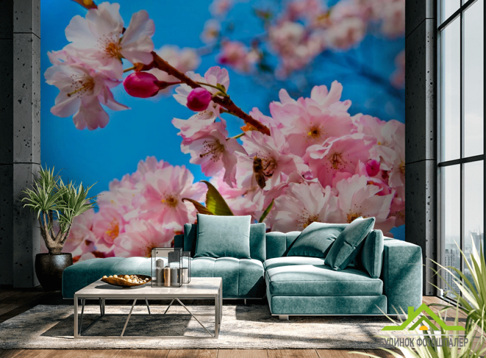 выбрать Фотообои Соцветия шиповника Каталог фотообоев на стену