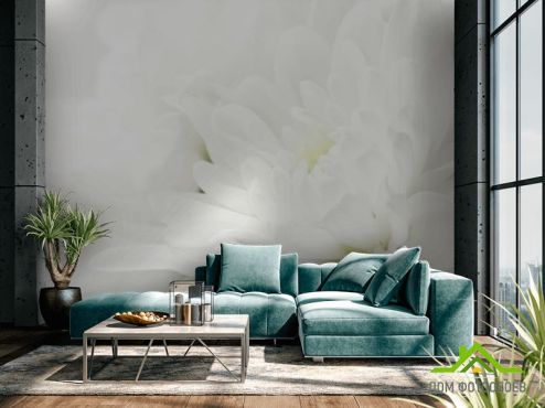выбрать Фотообои Белые хризантемы Фотообои Фотообои Цветы: фото  на стену