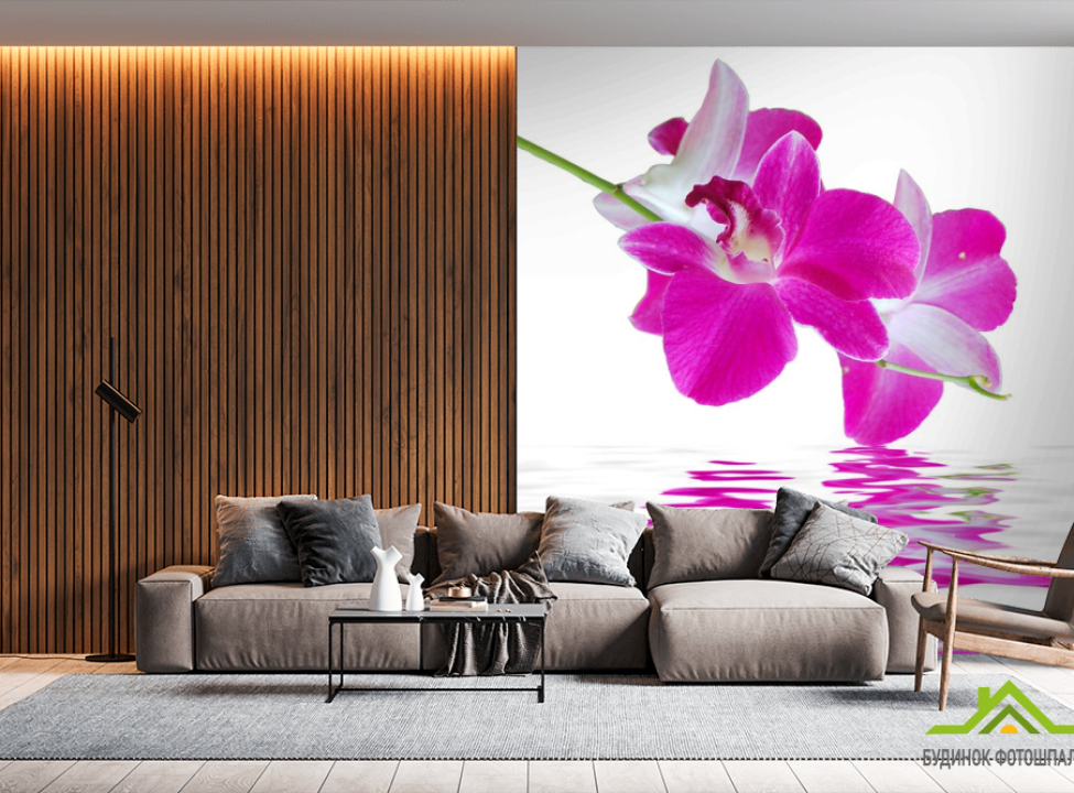 выбрать Фотообои Орхидеи цвета фусии Каталог фотообоев на стену