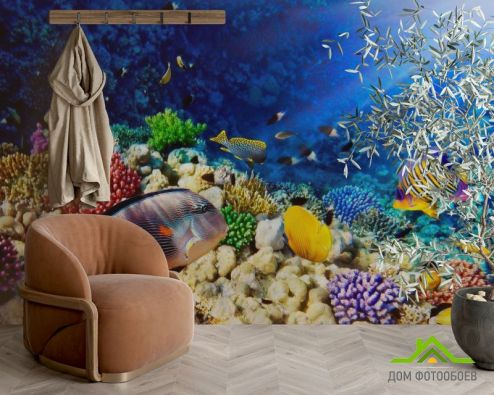 выбрать Фотообои Рыбы в глубине Фотообои Фотообои Море: фото, горизонталная, горизонтальная  на стену