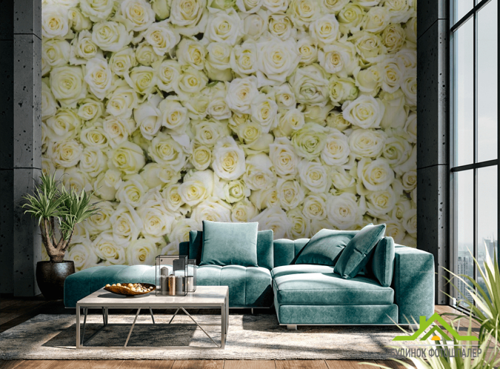 выбрать Фотообои море белых роз Каталог фотообоев на стену