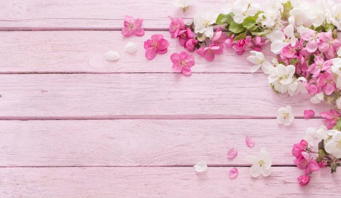Фотообои белые и розовые лепестки на розовом деревянном фоне