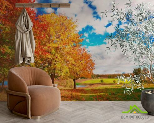 выбрать Фотообои Осень, деревья Фотообои Фотообои Природа: горизонталная, горизонтальная, фото ориентация на стену