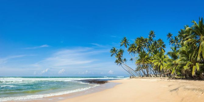 Фотообои пальмы на белом песке