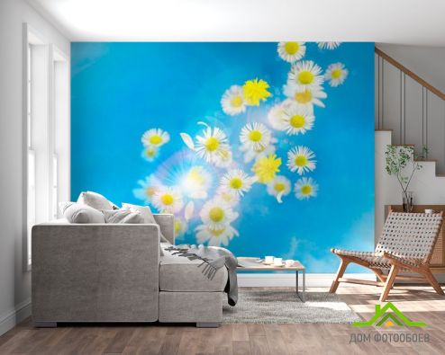 выбрать Фотообои Ромашки в облаках Фотообои Фотообои Цветы: фото, горизонталная, горизонтальная  на стену