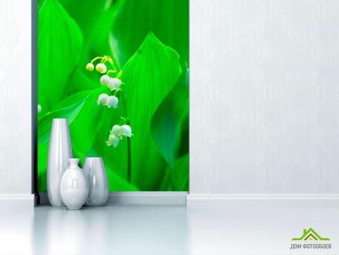 выбрать Фотошпалери Конвалія Фотошпалери Фотошпалери Квіти: вертикальна, зелений, зелений орієнтація на стіну