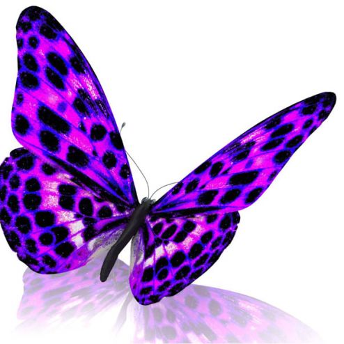 выбрать Фотообои красивая бабочка Фиолетовые фотообои на стену