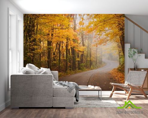 выбрать Фотообои Крутая дорога, осень Фотообои лес на стену