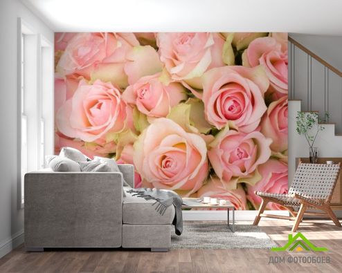 выбрать Фотошпалери букет рожевих троянд Фотошпалери Квіти на стіну