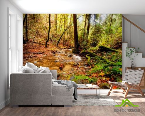 выбрать Фотообои Ручей в лесу Фотообои Фотообои Природа - Осень, белая, коричневый на стену