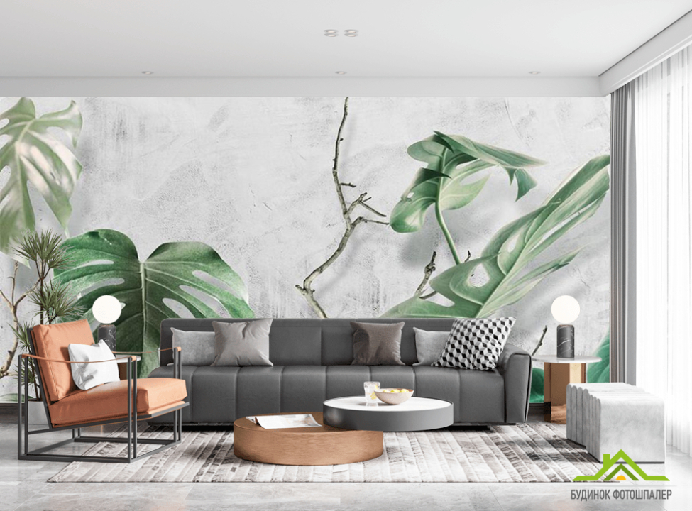 выбрать Фотообои Листья Монстеры Каталог фотообоев на стену
