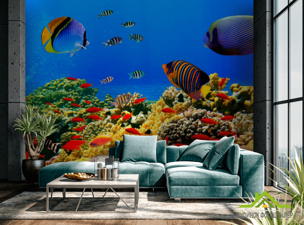 выбрать Фотообои Рыбки на дне морском Фотообои Море на стену