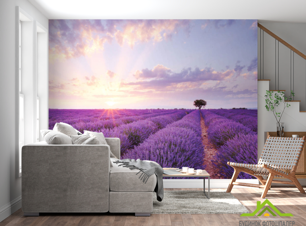 выбрать Фотошпалери Лавандове поле на сході Каталог фотошпалер на стіну