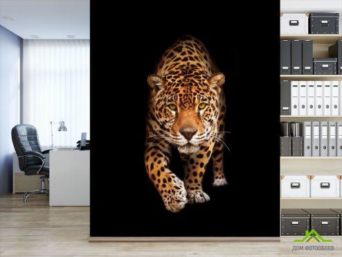 выбрать Фотошпалери леопард Фотошпалери, колір: «вертикальна» на стіну