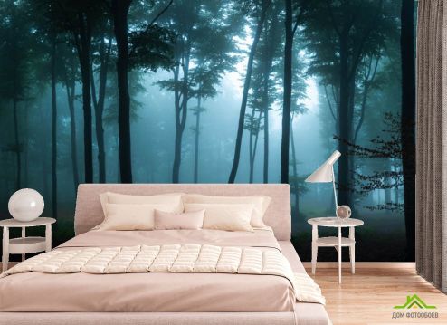 выбрать Фотошпалери туманний ліс Спальня: квадратна, горизонтальна орієнтація на стіну