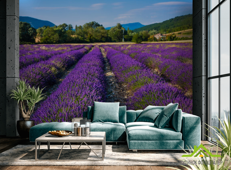 выбрать Фотообои поле цветов Каталог фотообоев на стену
