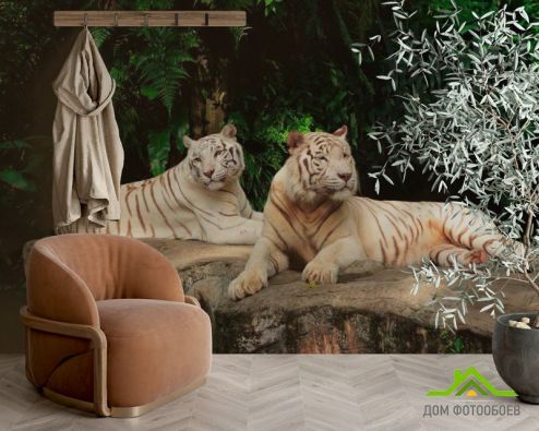выбрать Фотообои Семейство белых тигров Фотообои Тигры на стену