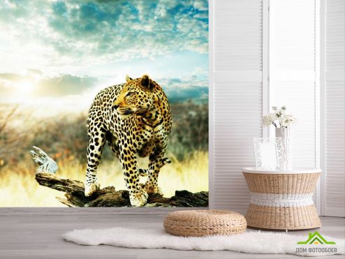 выбрать Фотообои Наблюдающий гепард  на стену