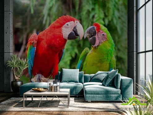 выбрать Фотообои Общение попугаев Фотообои Фотообои Животные: горизонталная, горизонтальная, зелений, зеленый ориентация на стену