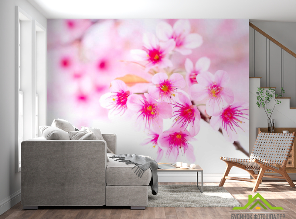 выбрать Фотошпалери Квітуча навесні дерево Каталог фотошпалер на стіну