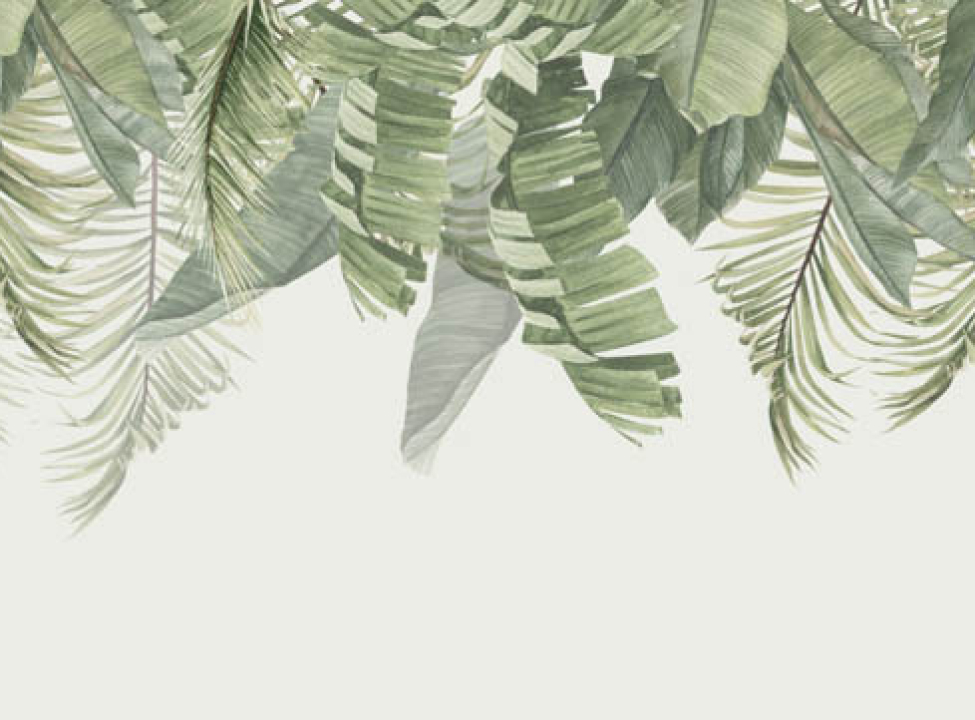 выбрать Фотошпалери листя зі стелі Каталог фотошпалер на стіну