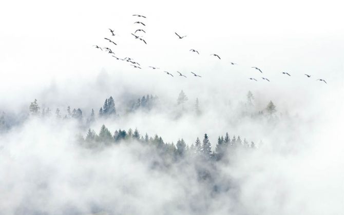 Фотошпалери Гори в тумані