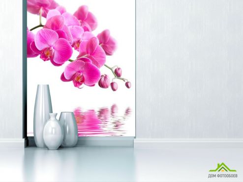 выбрать Фотошпалери Орхідеї малинові Фотошпалери Фотошпалери Квіти: рожевий на стіну