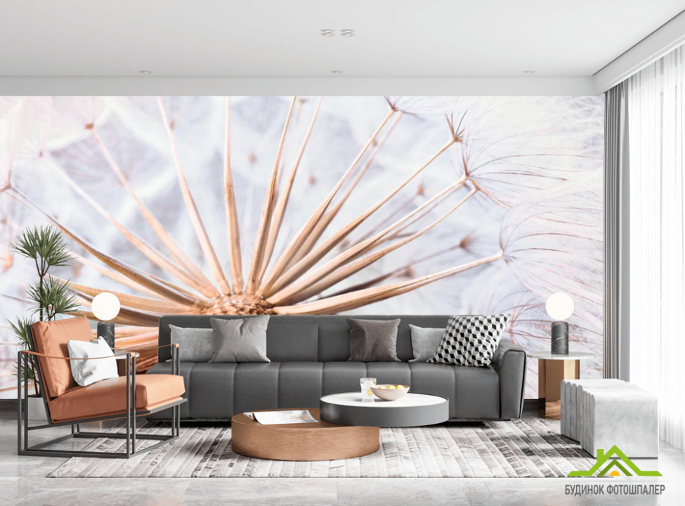 выбрать Фотообои Одуванчик Каталог фотообоев на стену