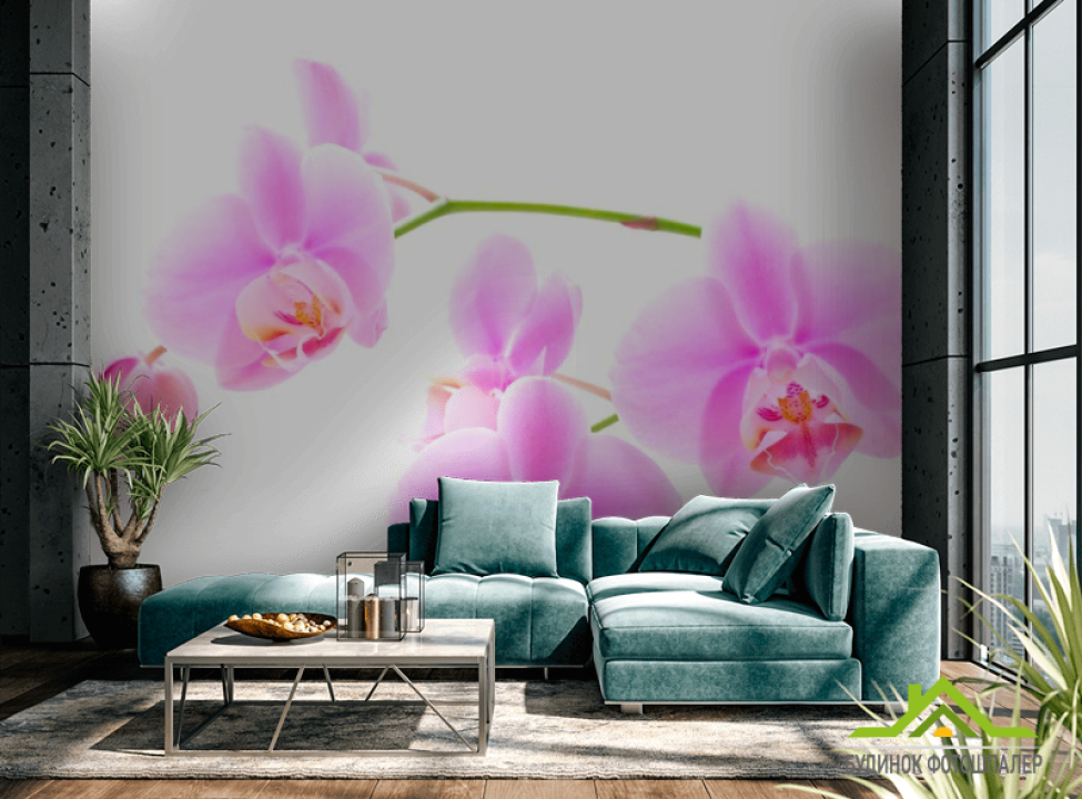 выбрать Фотошпалери Орхідеї розпустилися Каталог фотошпалер на стіну