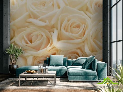 выбрать Фотообои кремовые розы Фотообои Фотообои Цветы: горизонталная, горизонтальная ориентация на стену