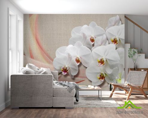выбрать Фотошпалери Орхідеї на тлі тканини Фотошпалери Фотошпалери Квіти: квадратна, горизонтальна орієнтація на стіну