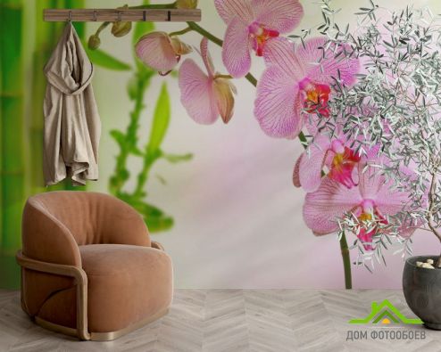 выбрать Фотообои Орхидеи и бамбук Фотообои, цвет: «горизонталная, горизонтальная» на стену