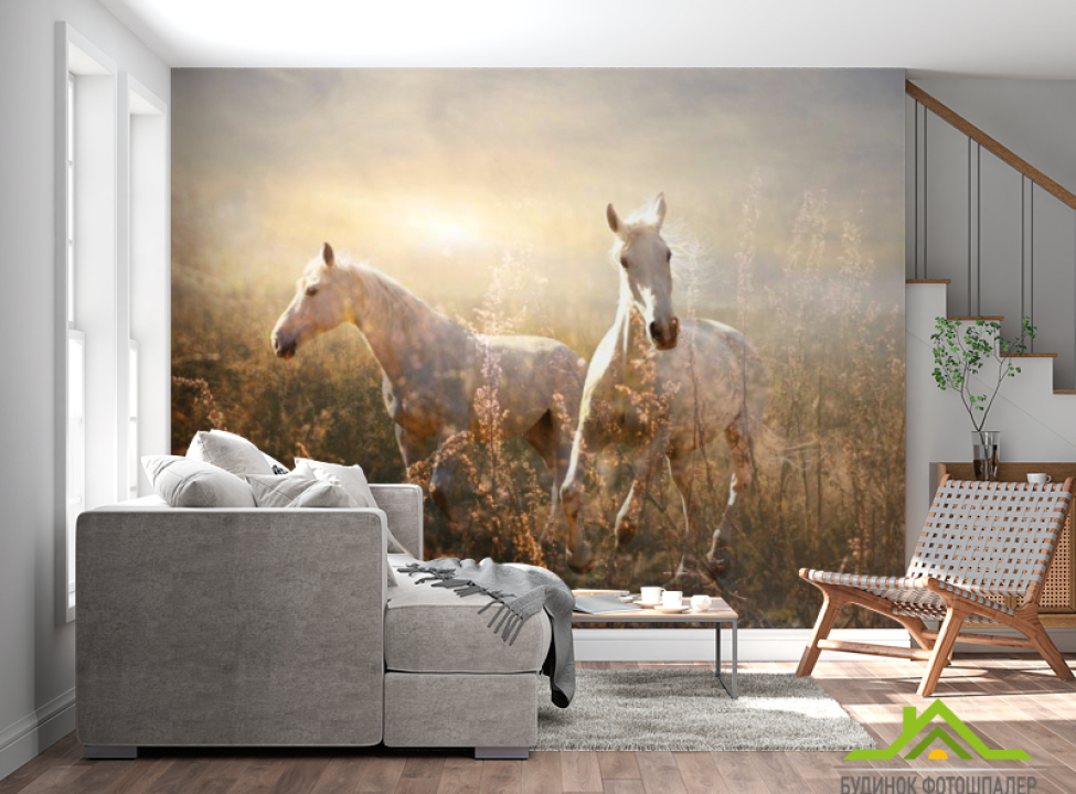 выбрать Фотошпалери Конячки Каталог фотошпалер на стіну