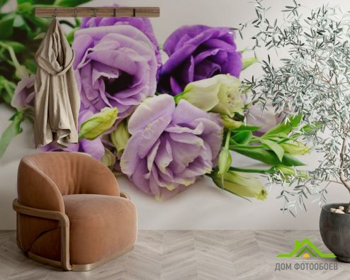 выбрать Фотообои Розы сиреневые Фотообои Фотообои Цветы: горизонталная, горизонтальная, фиолетовый ориентация на стену