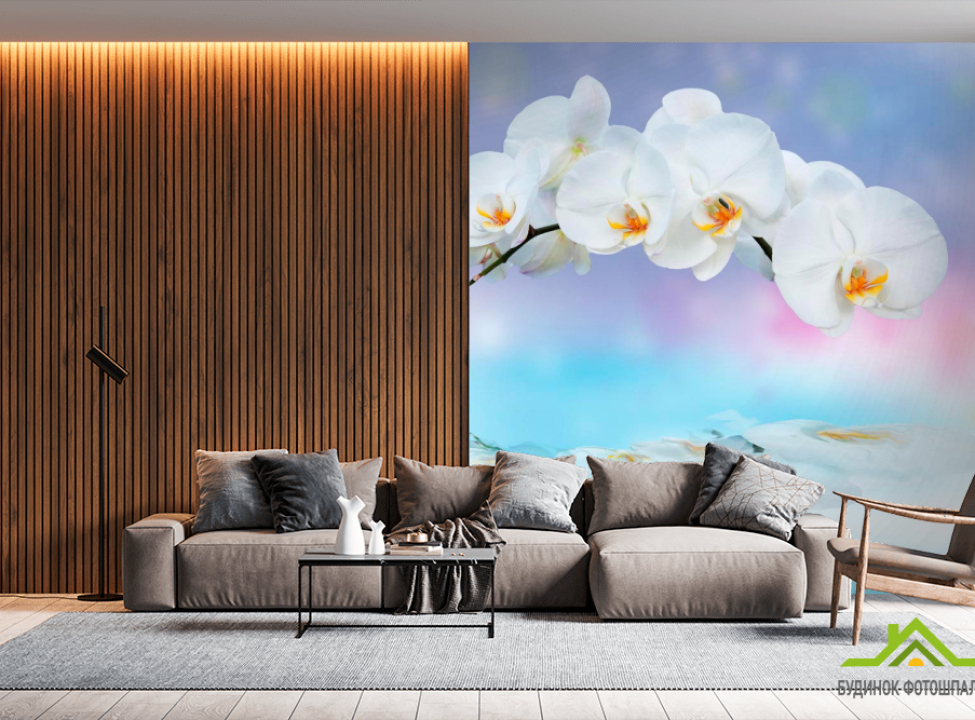 выбрать Фотошпалери Орхідея Каталог фотошпалер на стіну