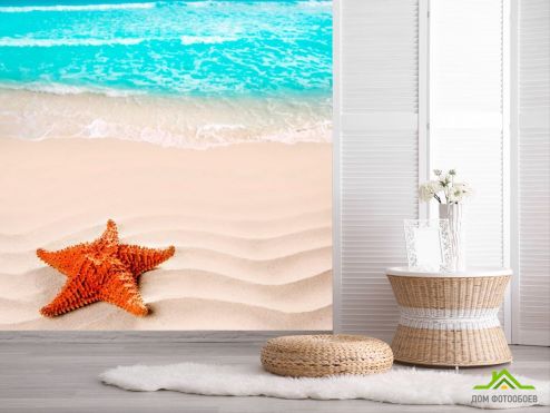 выбрать Фотообои Морская звезда Фотообои Фотообои Рыбы и море: фото  на стену