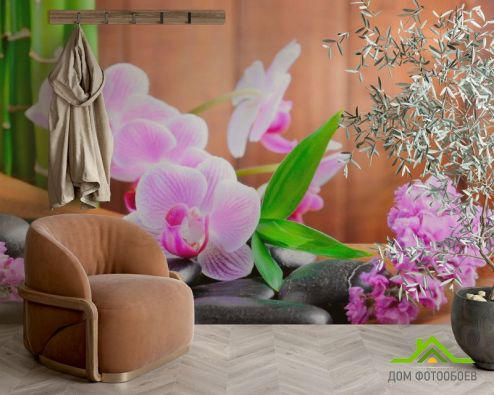 выбрать Фотошпалери Блідо-рожеві орхідеї Коричневі фотошпалери на стіну