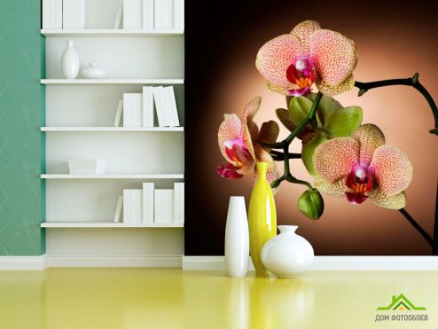 выбрать Фотообои Веточка кремовых орхидей Фотообои Фотообои Цветы: квадратная ориентация на стену