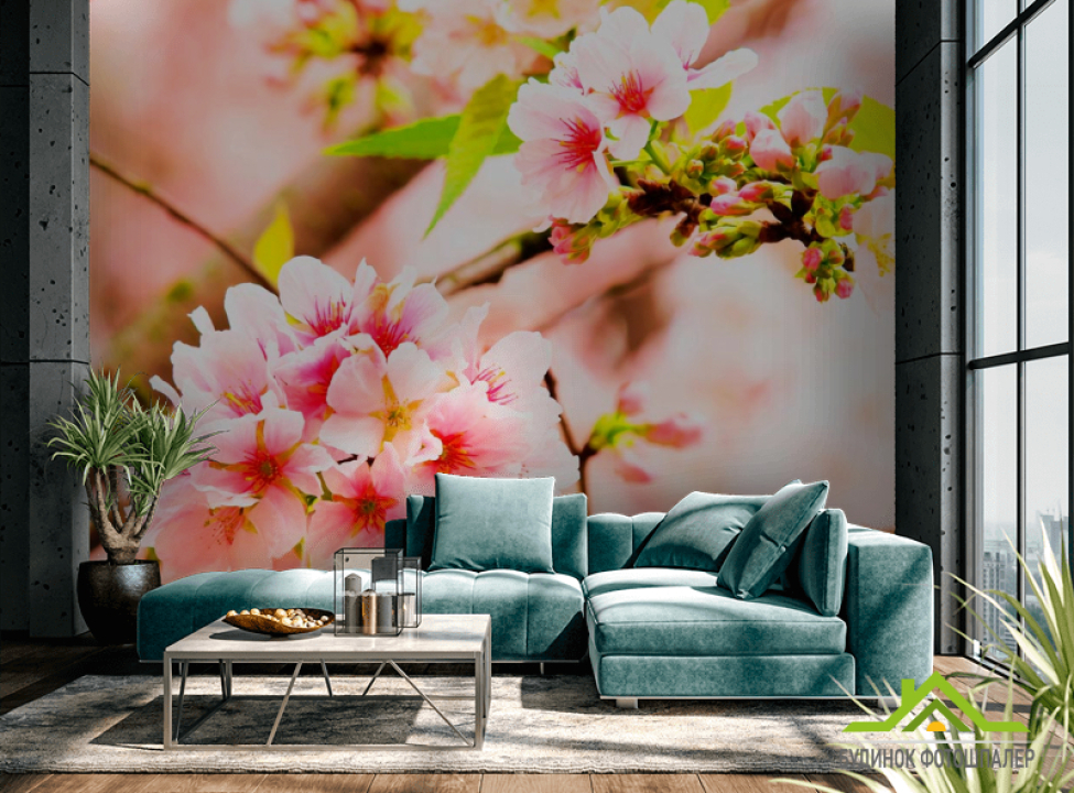 выбрать Фотообои Соцветия розовых цветов Каталог фотообоев на стену