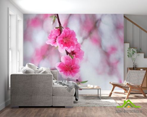 выбрать Фотообои Цветущее весной розовым дерево Фотообои Фотообои Цветы: горизонталная, горизонтальная, фото ориентация на стену
