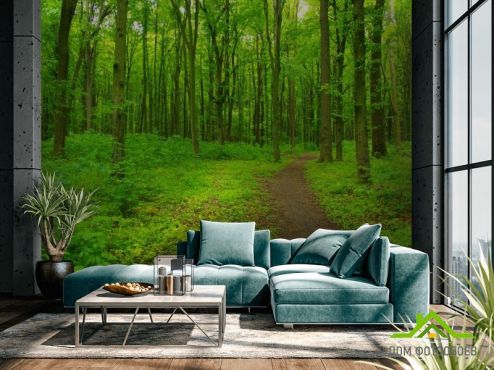 выбрать Фотообои ярко-зеленый лес Фотообои, цвет: «горизонталная, горизонтальная» на стену